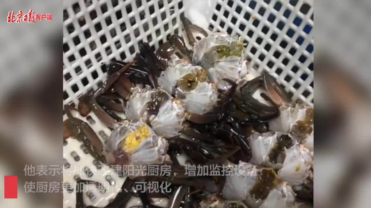 胖哥俩肉蟹煲死蟹当成活蟹卖网红店不能只想赚一票就走