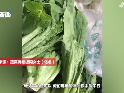 菠菜15元一斤比肉还贵？实探郑州农贸市场：青菜价格普涨