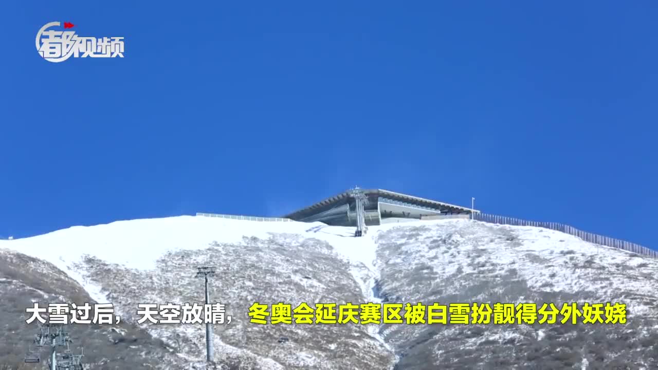 北京冬奥会雪飞燕图片
