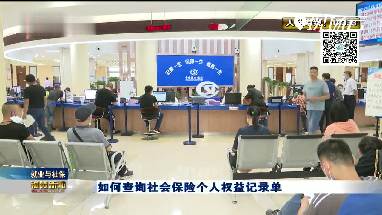 如何查询社会保险个人权益记录单 铜陵市 新浪财经 新浪网