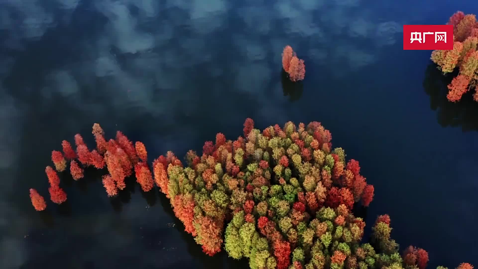 四明湖湿地公园图片