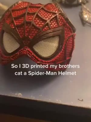 做蜘蛛侠面罩给猫和自己戴上后 网友 猪侠和蜘蛛侠 猪 猫 新浪新闻