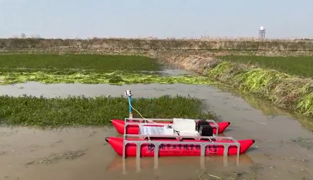 水芹收割难题怎么破科技来助农两款水芹收割机问世有望破解难题