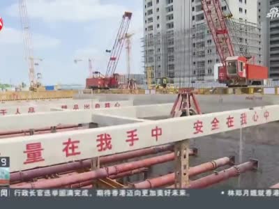 视频｜上海轨交有序推进复工 两座地铁车站重启建设