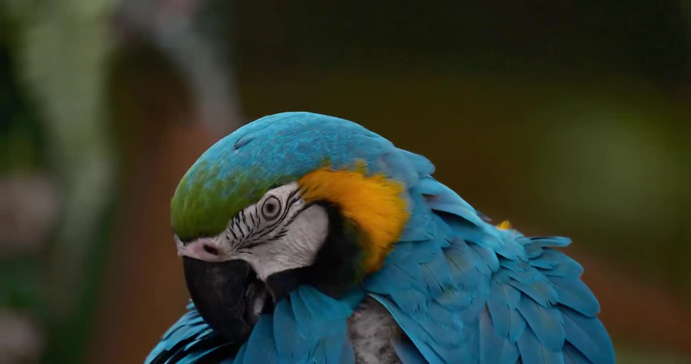 478791611.jpg