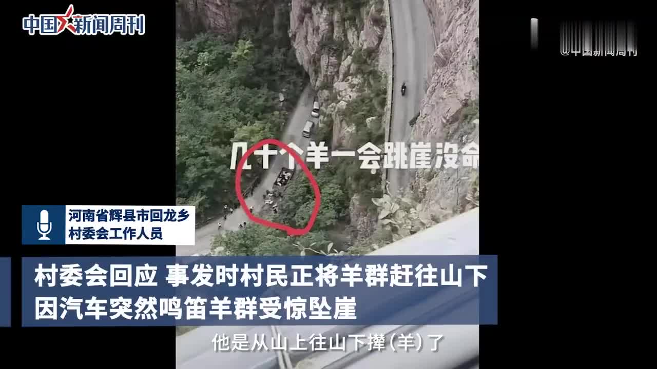 村委会回应近百只山羊集体跳崖坠亡 汽车鸣笛受惊 新浪新闻