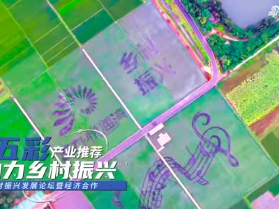首届海南自贸港（临高）乡村振兴发展论坛暨经济合作洽谈周活动将于12月11日−15日举行