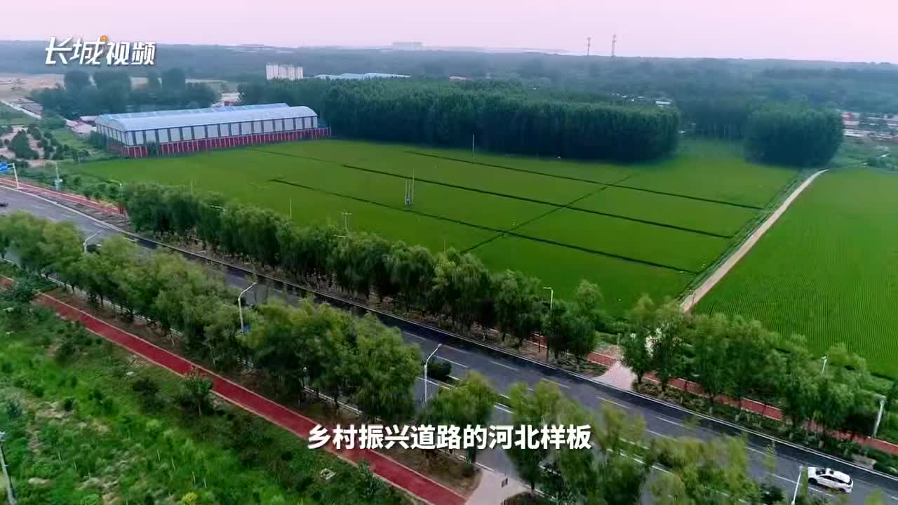 对话河北省农业农村厅党组书记、厅长刘宝岐 图1