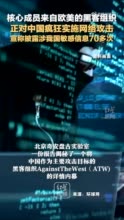 来自欧美的黑客组织，正对中国疯狂网络攻击！宣称披露涉我国敏感信息70多次