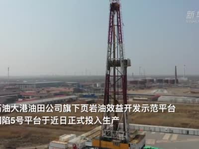 大港油田建成10万吨级页岩油效益开发示范平台