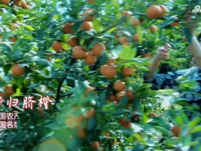 宜昌城市品牌推广周宣传片：《品牌 让宜昌更美好》