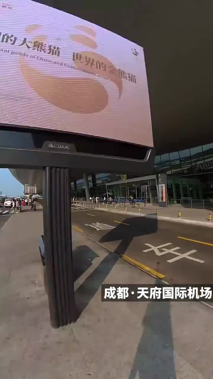 <strong>成都街头“金熊猫”含量拉满</strong>