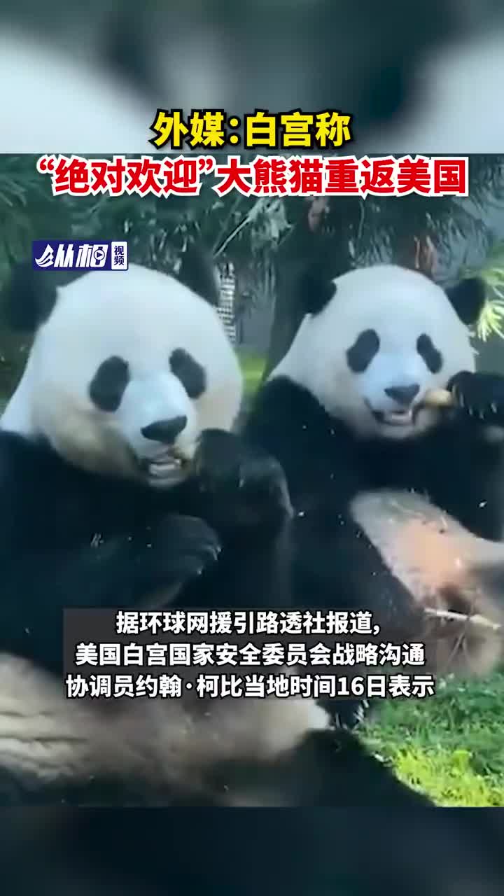 美国熊猫营销号图片